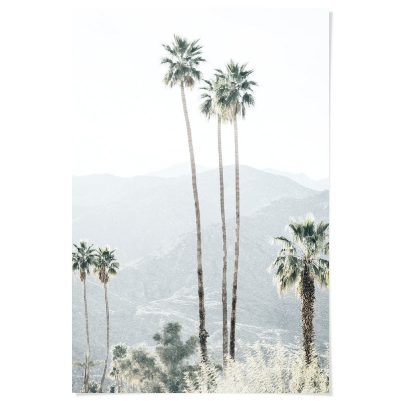 California Palms Art Print