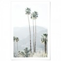 California Palms Art Print