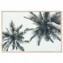 Island Palm Trees Art Print