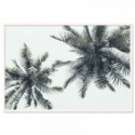 Island Palm Trees Art Print