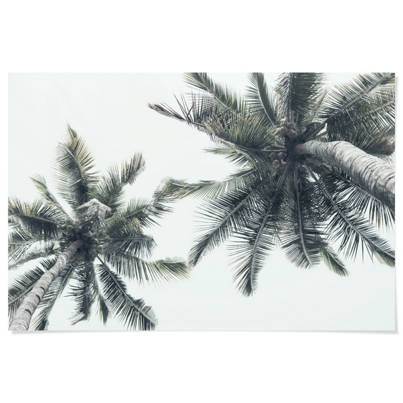 Island Palm Trees Art Print