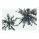 Island Palm Trees Art Print