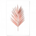 Palm Leaf Pink Art Print