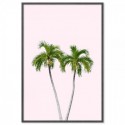 Palm Tree Pink Art Print