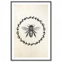 French Provincial Bee Art Print