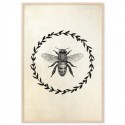 French Provincial Bee Art Print