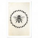 French Provincial Bee Art Print