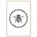 French Provincial Bee Monochrome Art Print