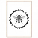 French Provincial Bee Monochrome Art Print