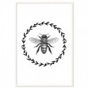 French Provincial Bee Monochrome Art Print