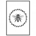 French Provincial Bee Monochrome Art Print