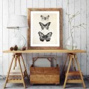 French Provincial Butterflies Art Print