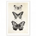 French Provincial Butterflies Art Print