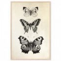 French Provincial Butterflies Art Print