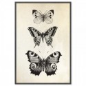 French Provincial Butterflies Art Print