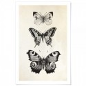 French Provincial Butterflies Art Print