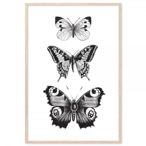 French Provincial Butterflies Monochrome Art Print