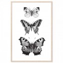 French Provincial Butterflies Monochrome Art Print