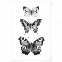 French Provincial Butterflies Monochrome Art Print