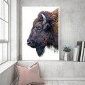 American Buffalo Art Print