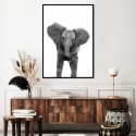 Baby Elephant Dots Art Print