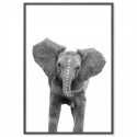 Baby Elephant Dots Art Print