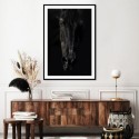 Black Beauty Art Print