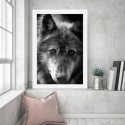Black Wolf Art Print