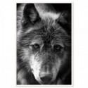 Black Wolf Art Print