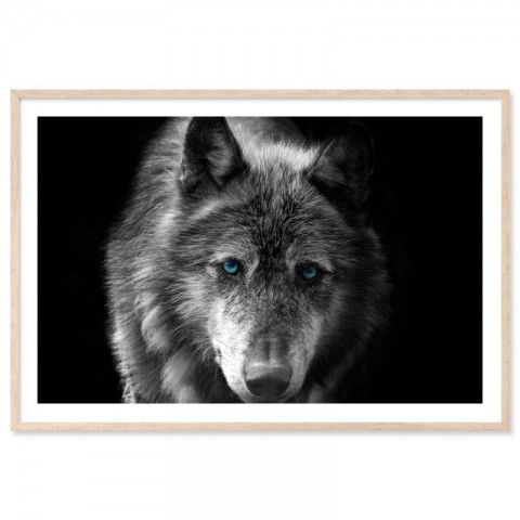 Black Wolf Blue Eyes Art Print