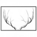 Deer Antlers Art Print