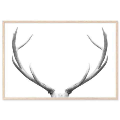 Deer Antlers Elegant Art Print