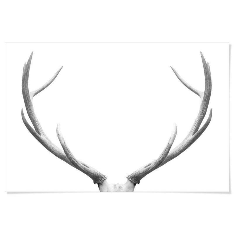 Deer Antlers Elegant Art Print