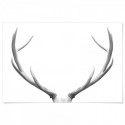 Deer Antlers Elegant Art Print