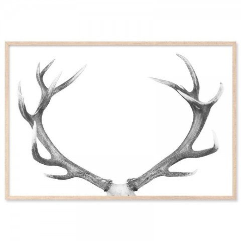 Deer Antlers Majestic Art Print