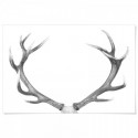 Deer Antlers Majestic Art Print