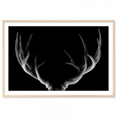 Deer Antlers Midnight Art Print