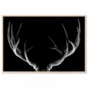 Deer Antlers Midnight Art Print