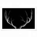 Deer Antlers Midnight Art Print