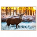 Deer At Sunset Art Print