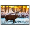 Deer At Sunset Art Print