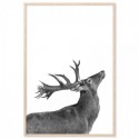 Deer Salute Art Print