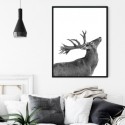 Deer Salute Art Print