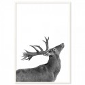 Deer Salute Art Print