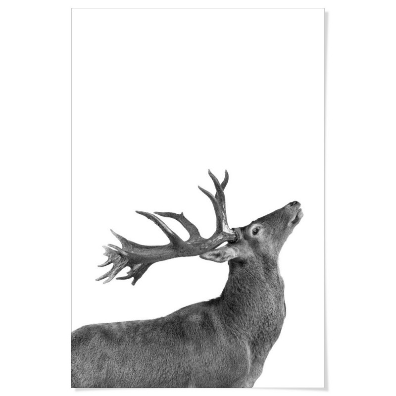 Deer Salute Art Print