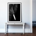 Elephant Tusk Art Print