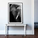 Elephant Wisdom Art Print