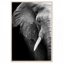 Elephant Wisdom Art Print