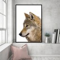 European Grey Wolf Art Print