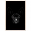 French Bulldog Black Art Print